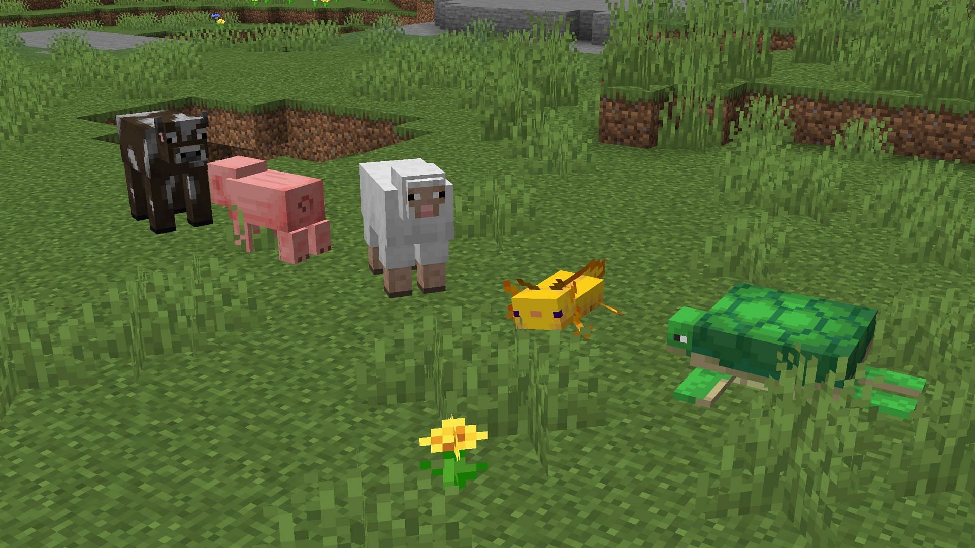Passive mobs that are real-life animals (Image via Sportskeeda Gaming || Mojang Studios)